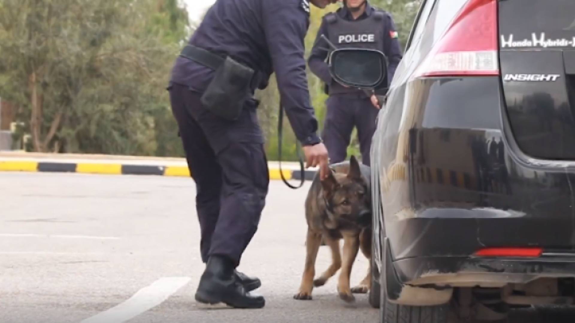 صورة من الفيديو