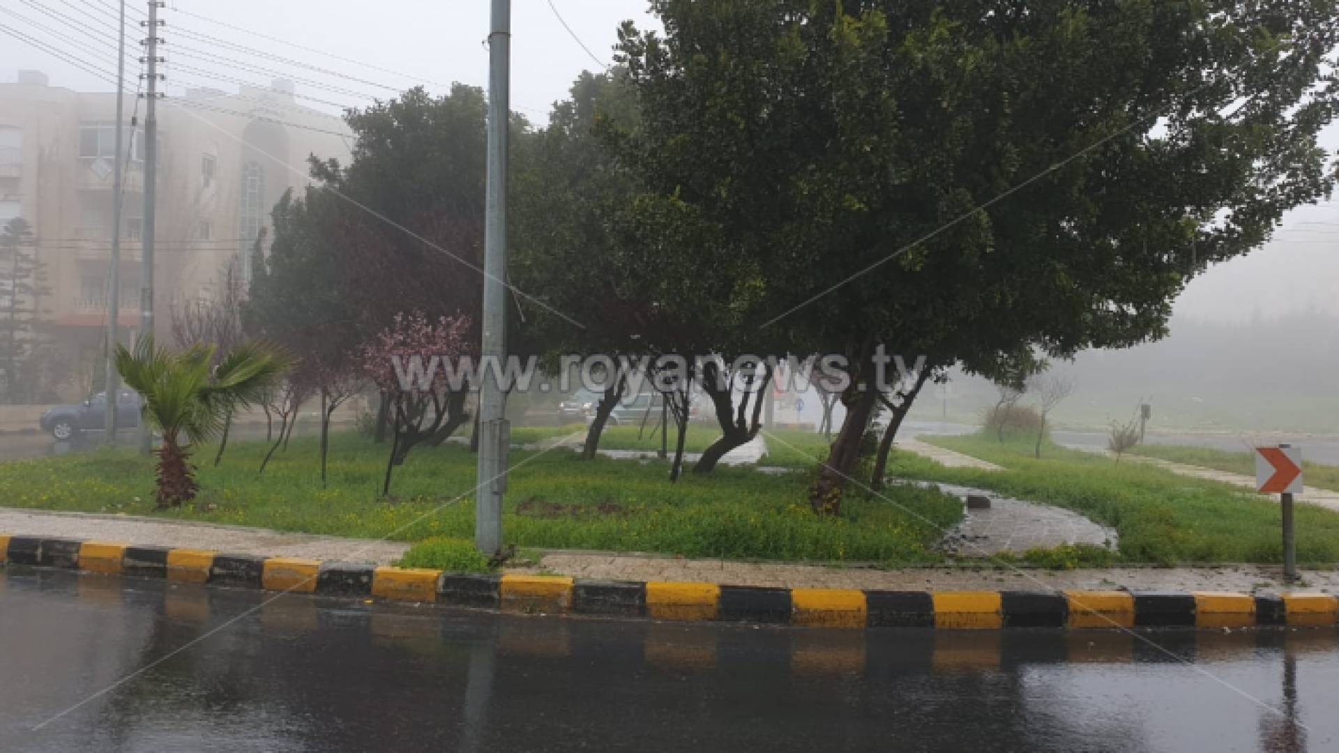 الأمطار في أحد شوارع العاصمة عمان