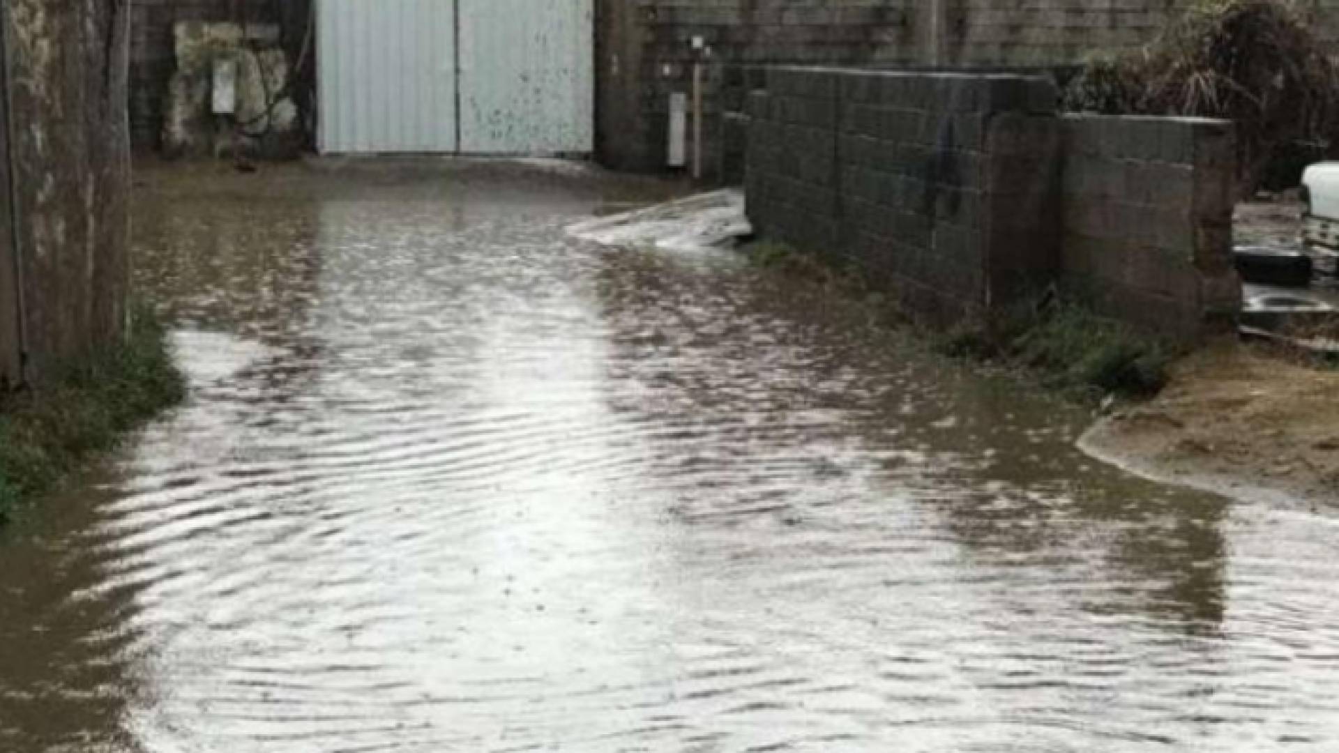 مياه الأمطار تداهم منازل في الاغوار الشمالية- ارشيفية