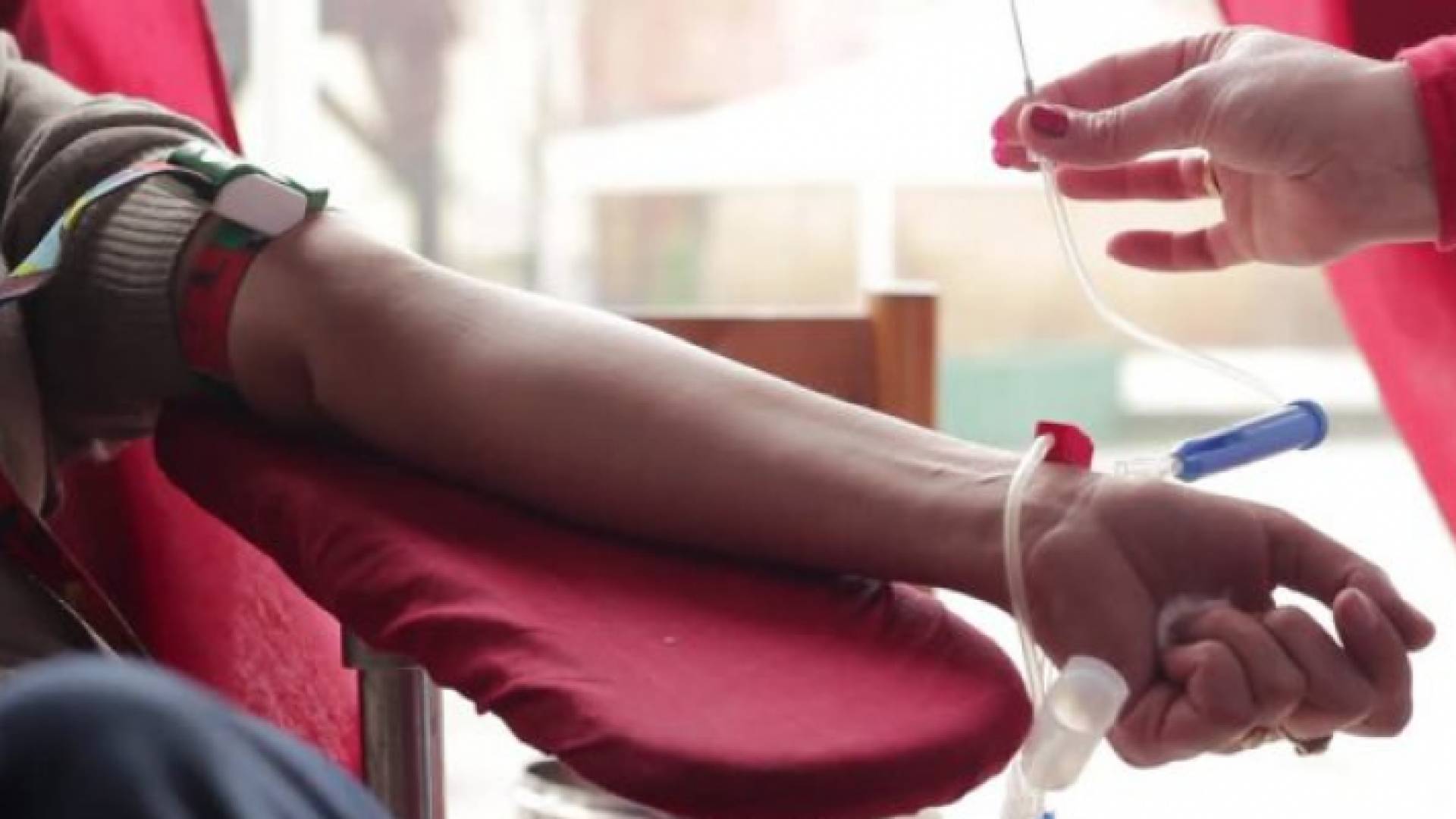 التبرع بالدم - ارشيفية