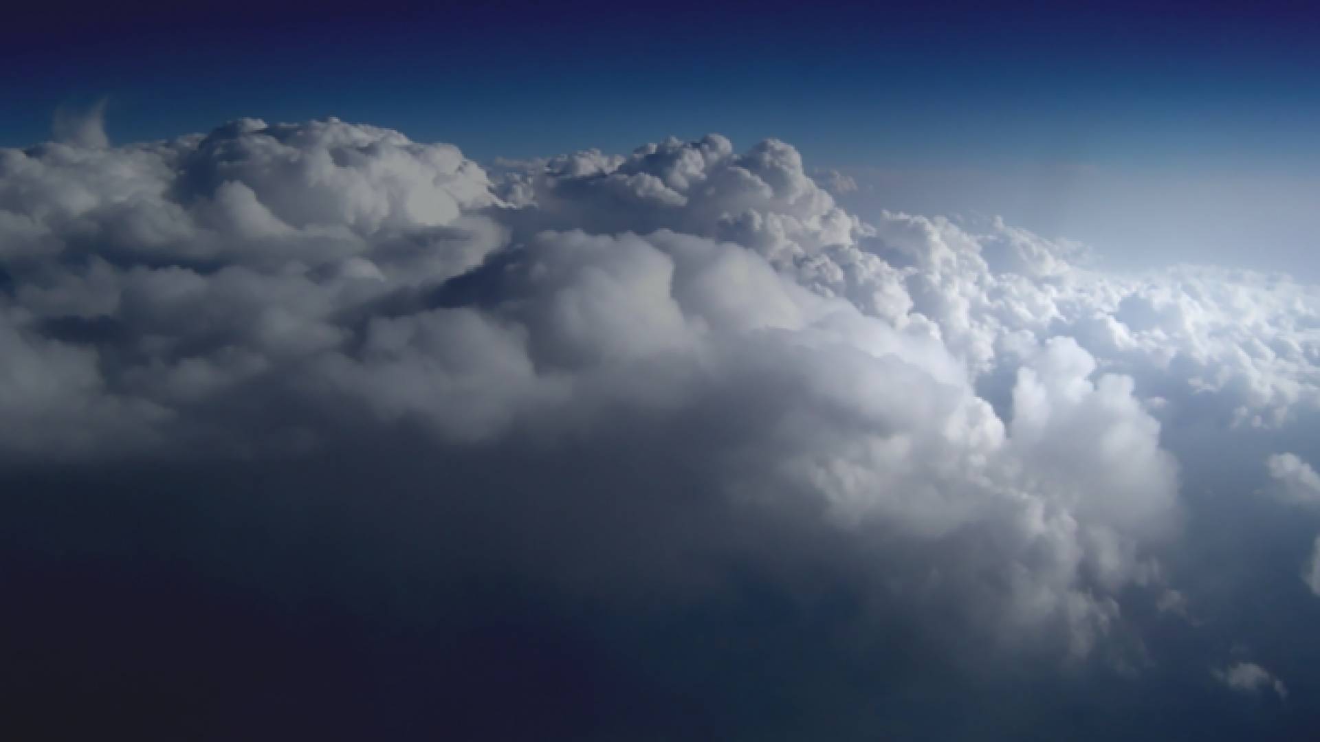 الأمطار ستهطل في مدينة اربد بالتحديد