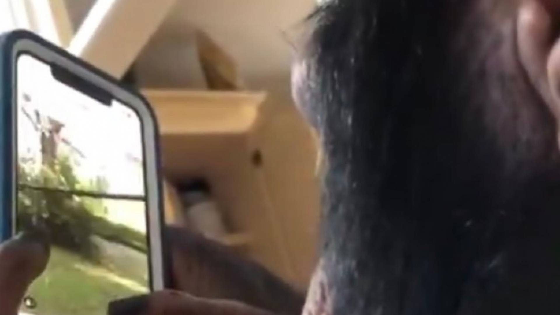 ظهر خلاله القرد يتصفح برنامج انستغرام باحترافية وتركيز عال