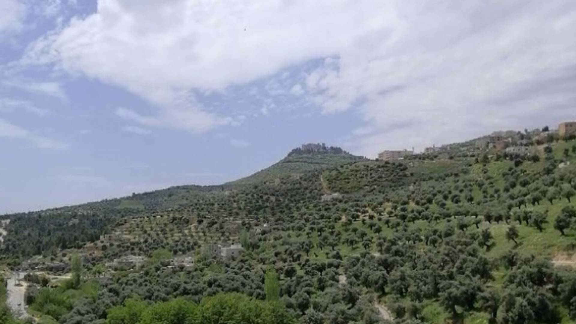 ربيع الاردن