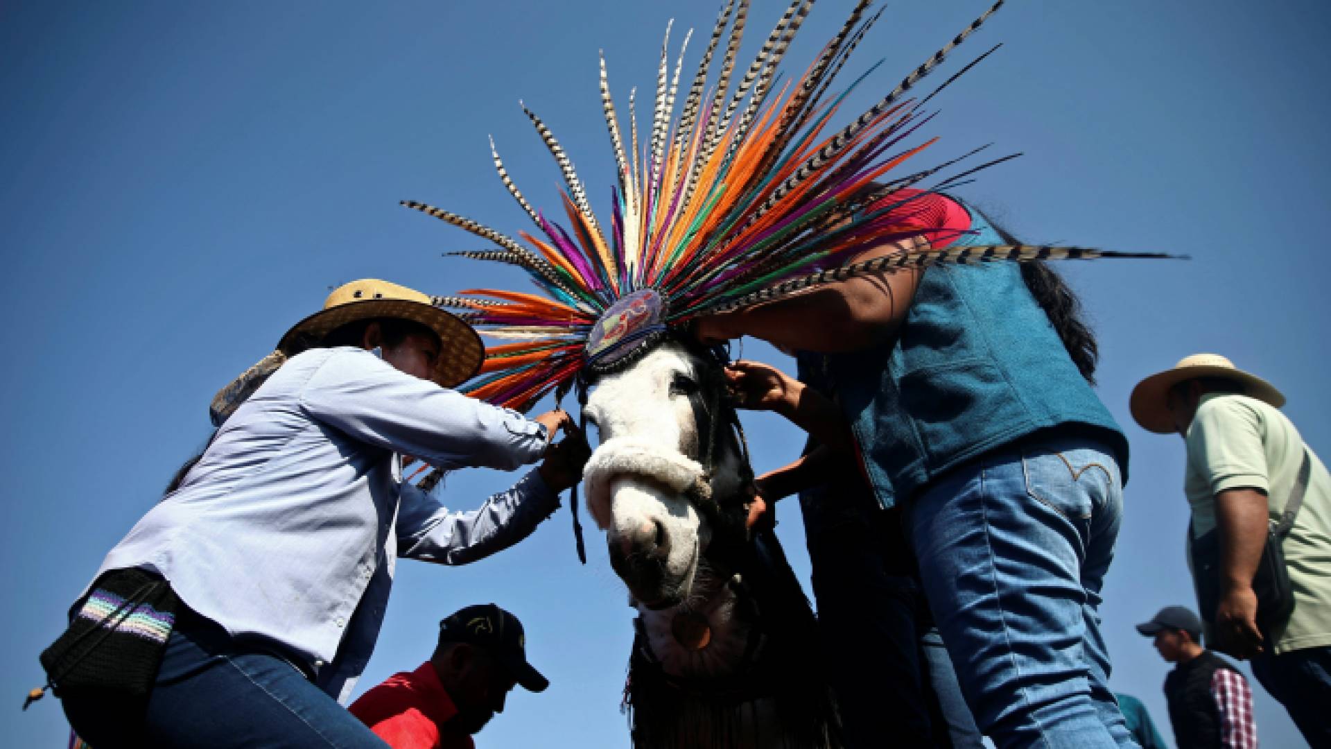 صورة من الاحتفال