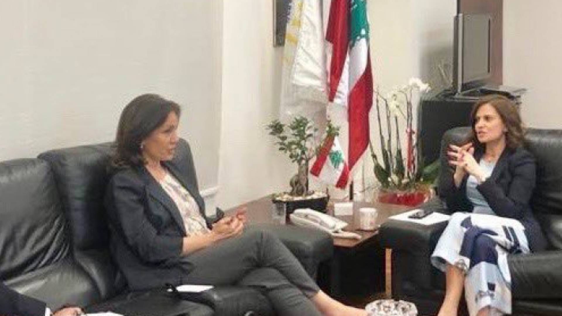 جانب من اللقاء