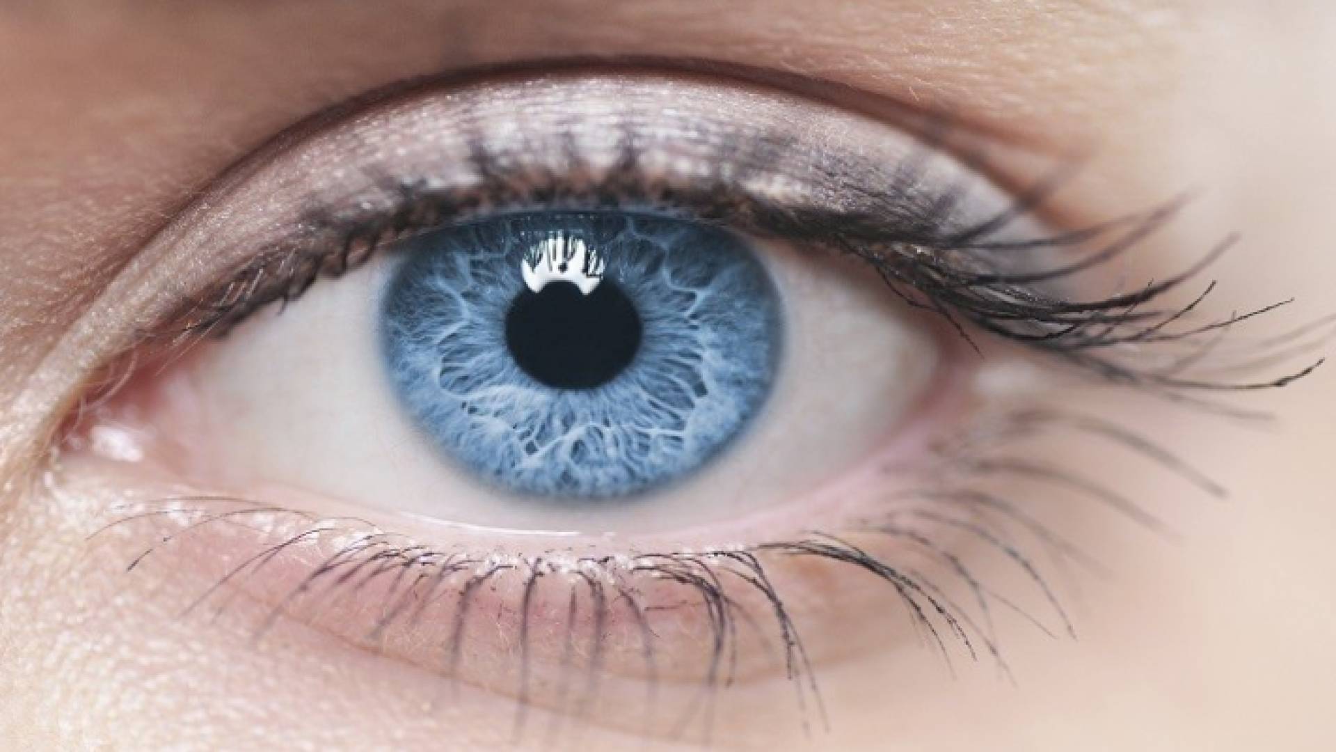 الصورة تعبيرية