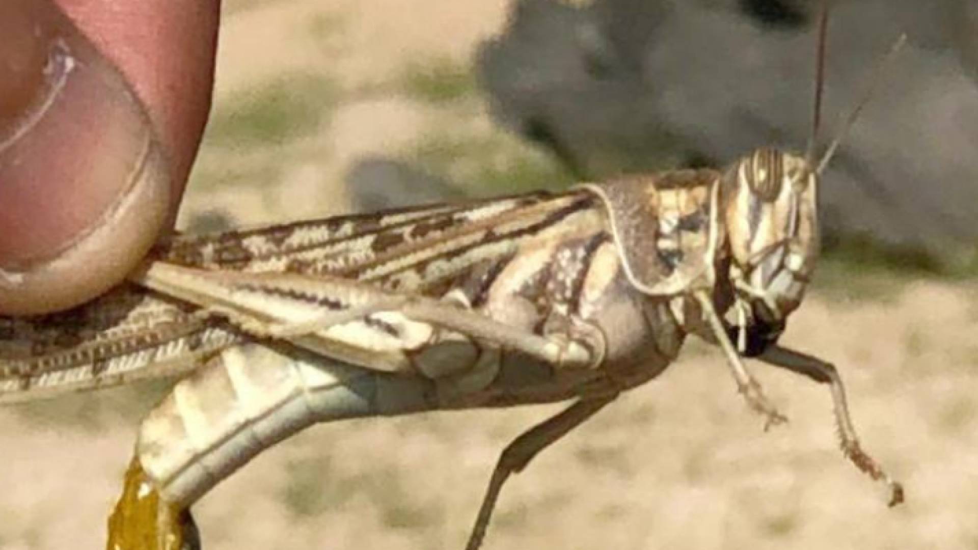 الصورة أرشيفية