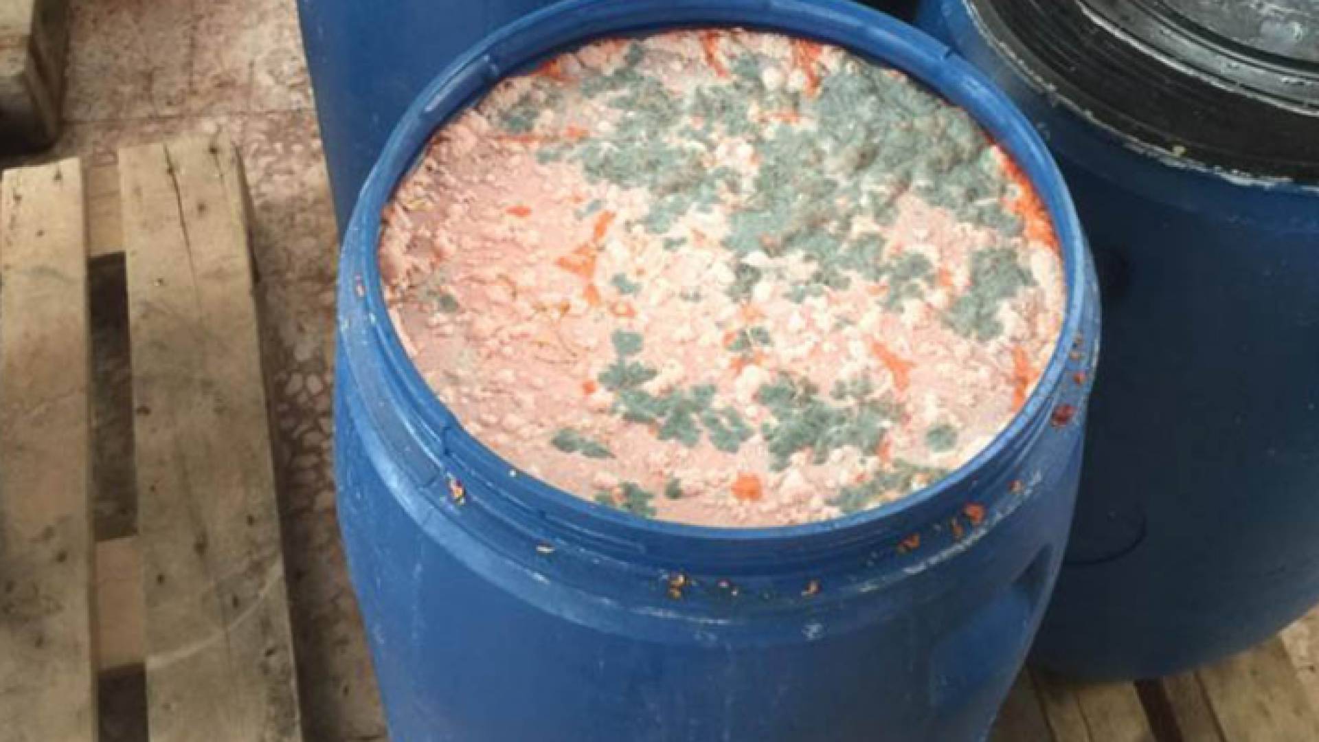 من المضبوطات - مخللات فاسدة