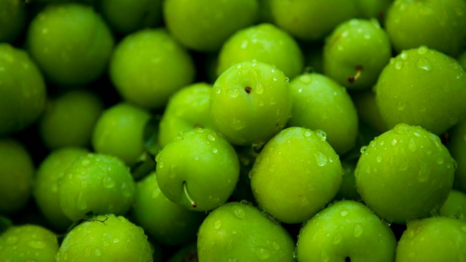 الكرز الاخضر