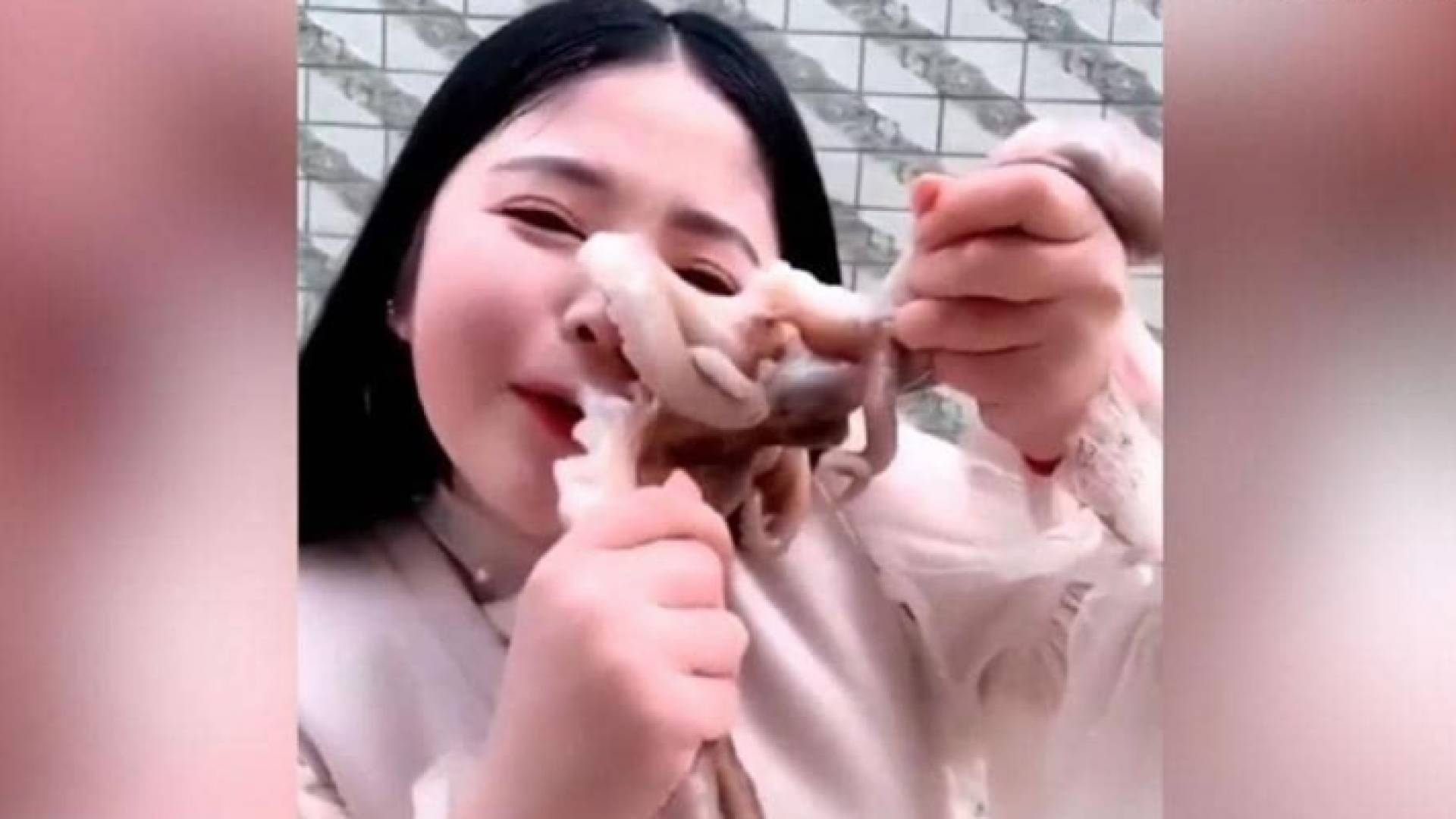 لحظة أكل الاخطبوط