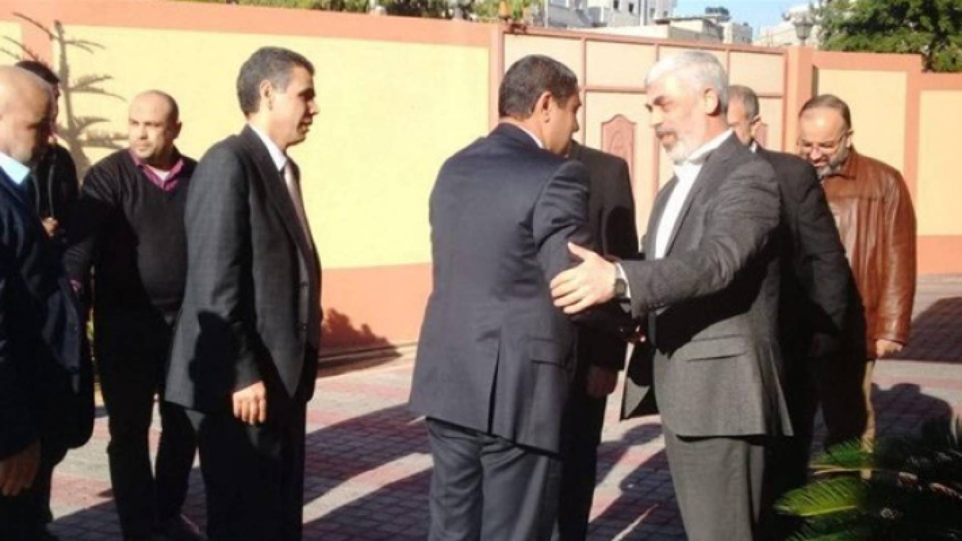 ارشيفية