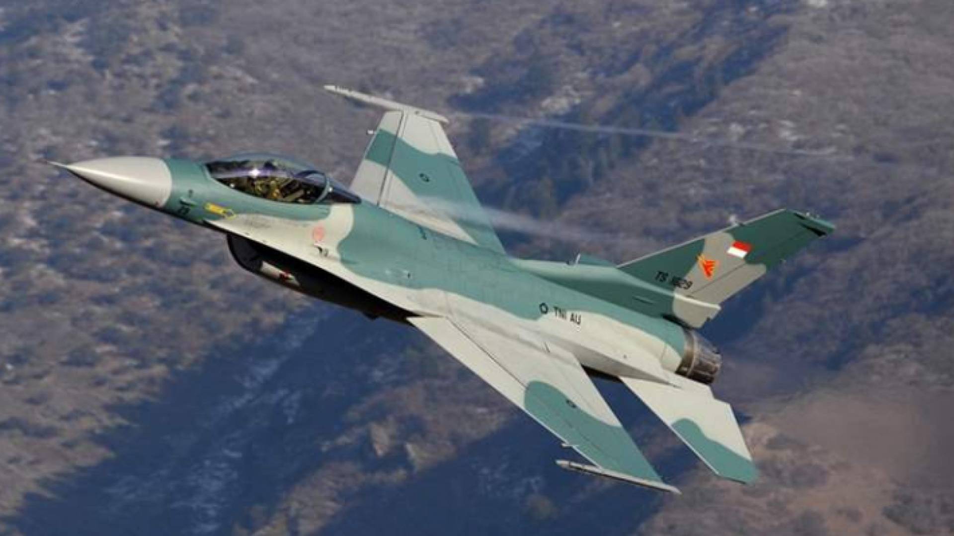 طائرة اندونيسية