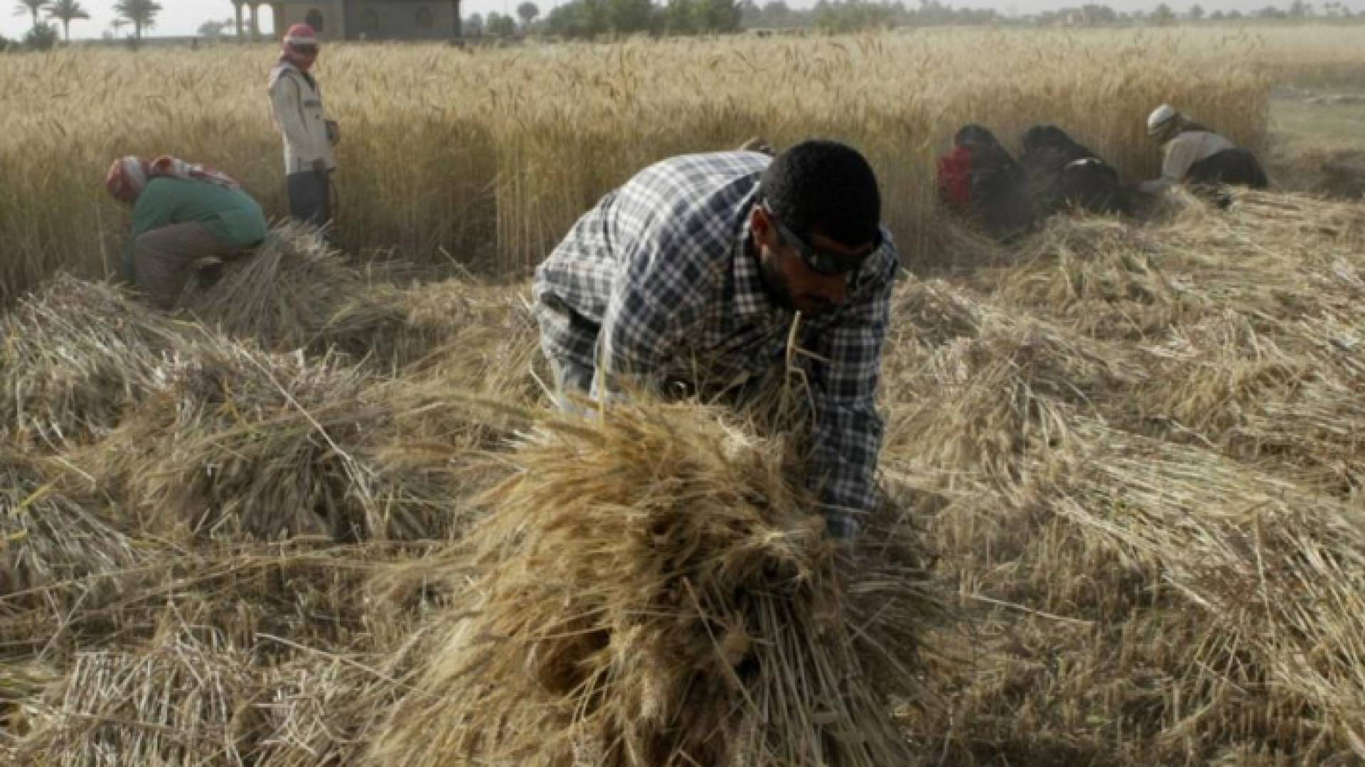 الصورة أرشيفية