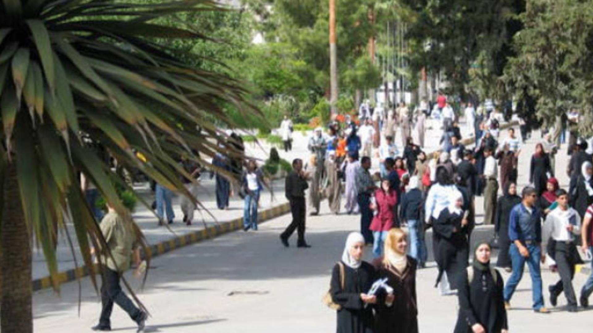 طلبة الجامعات - أرشيفية