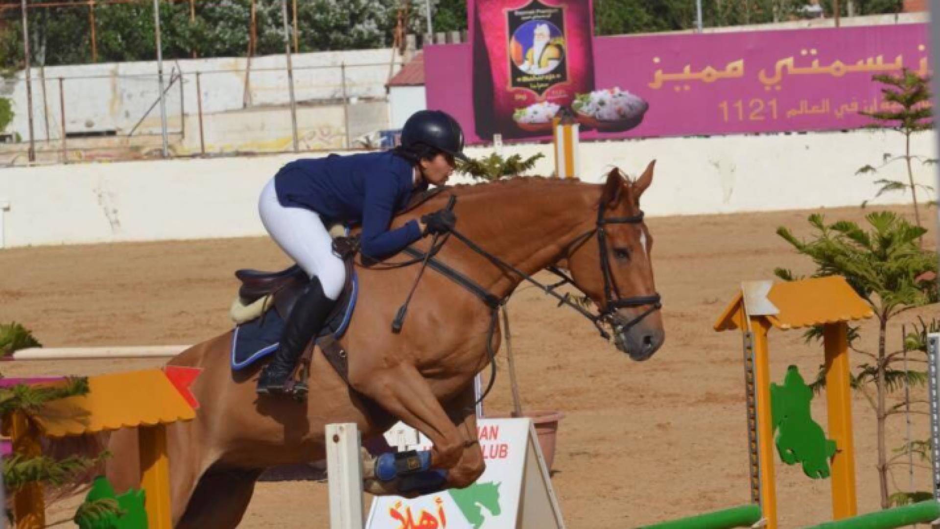 مركز العريان للفروسية