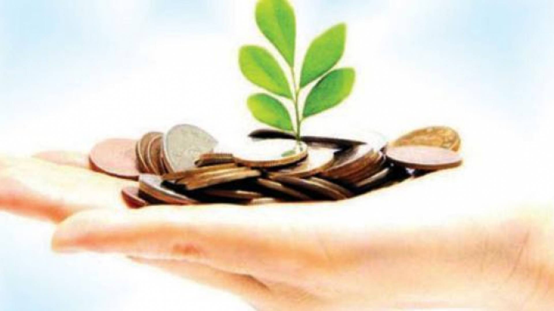 حكم سداد دين المتوفى من مال الزكاة اختلف فيه العديد من الفقهاء - ارشيفية