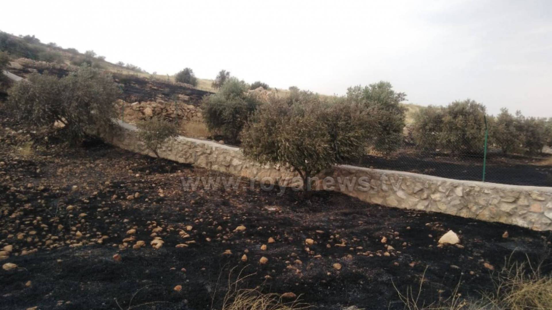 من الحريق
