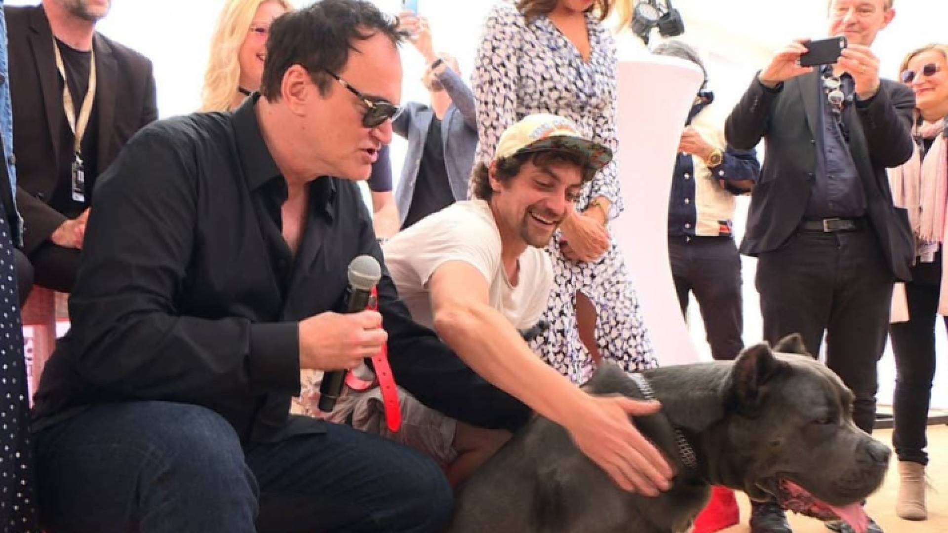 مهرجان كان.. جائزة للكلبة المشاركة بفيلم تارانتينو الأخير