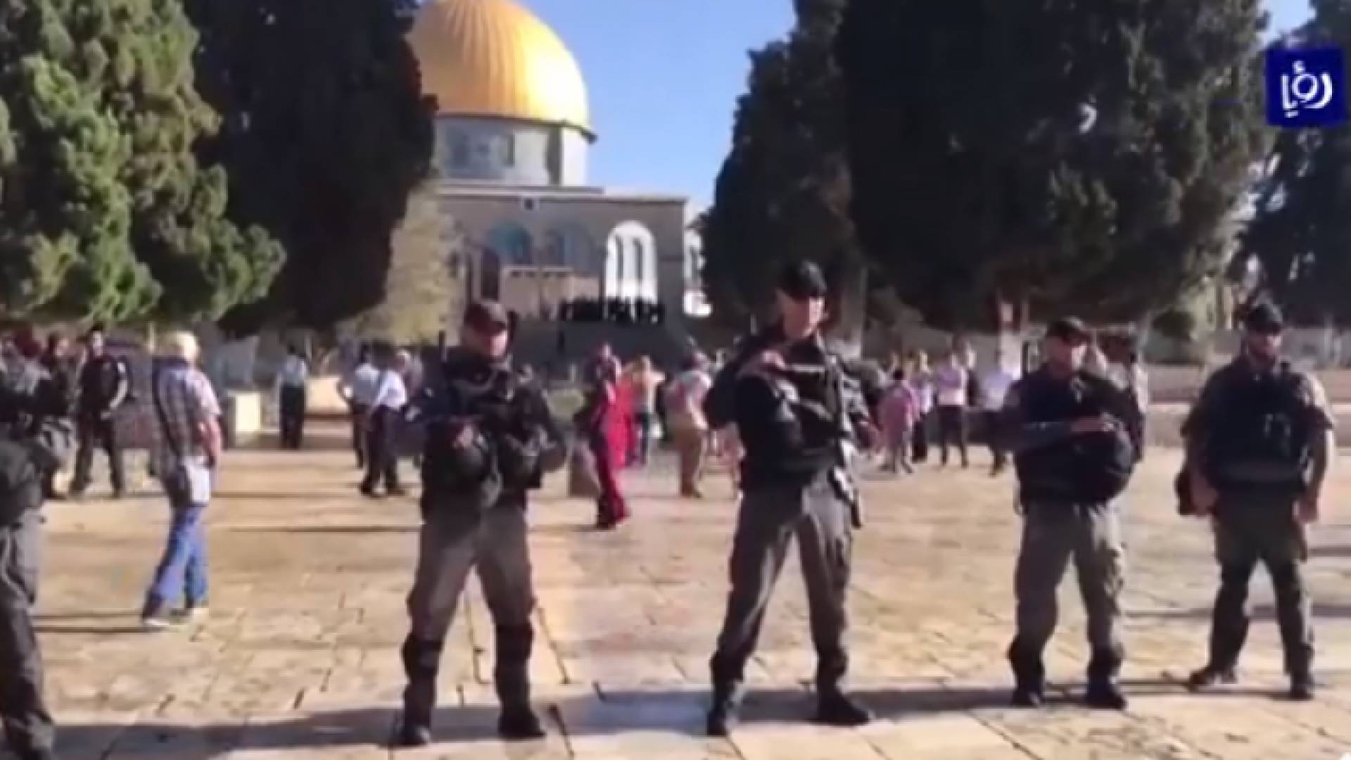 صورة من الفيديو