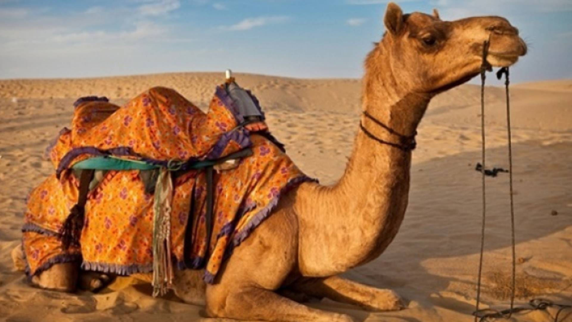 الصورة أرشيفية