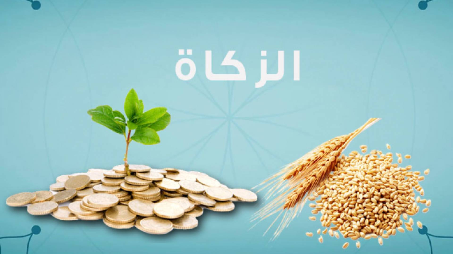 الصورة تعبيرية