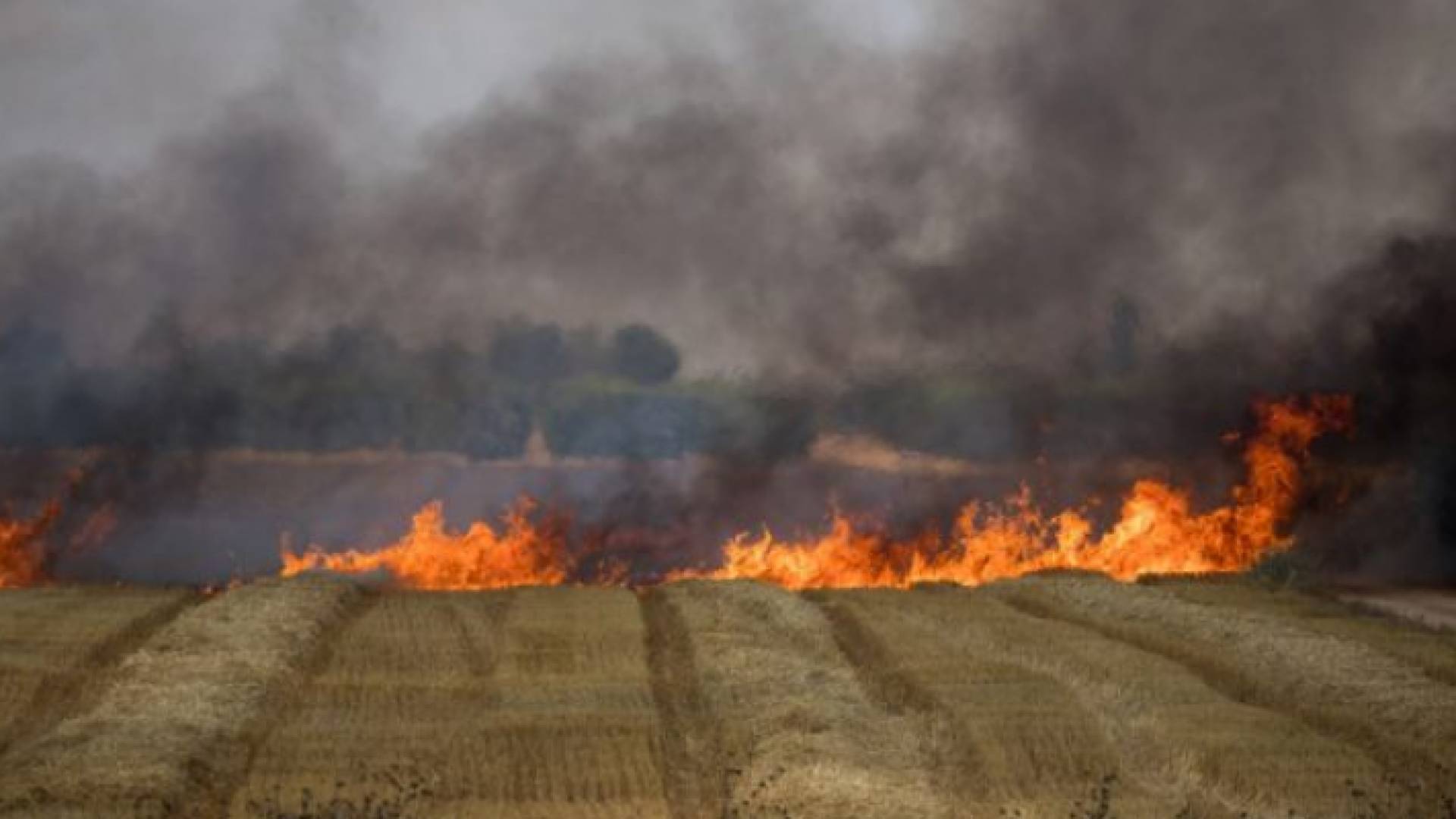 الصورة أرشيفية