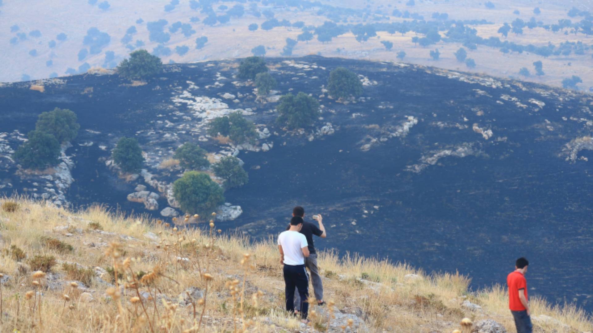 مشهد لحريق التلال السبعة في الكورة باربد