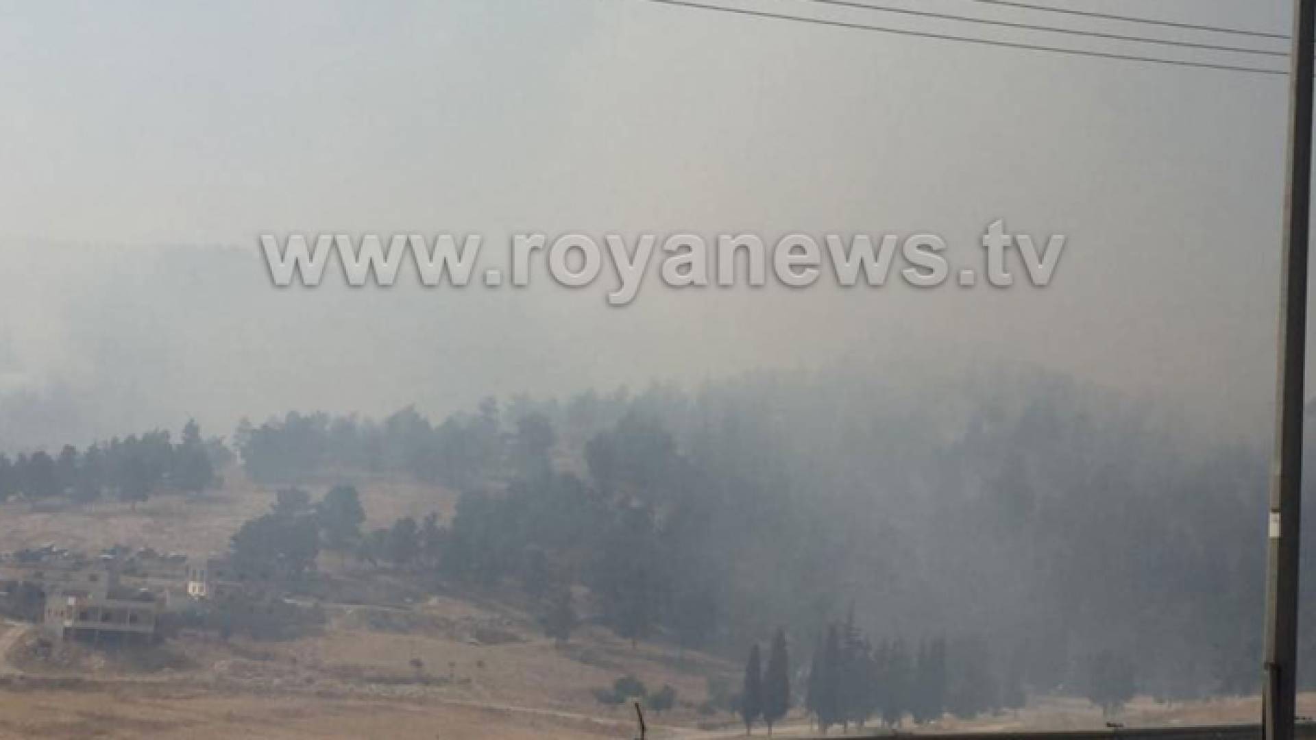 معظم الحرائق مفتعلة