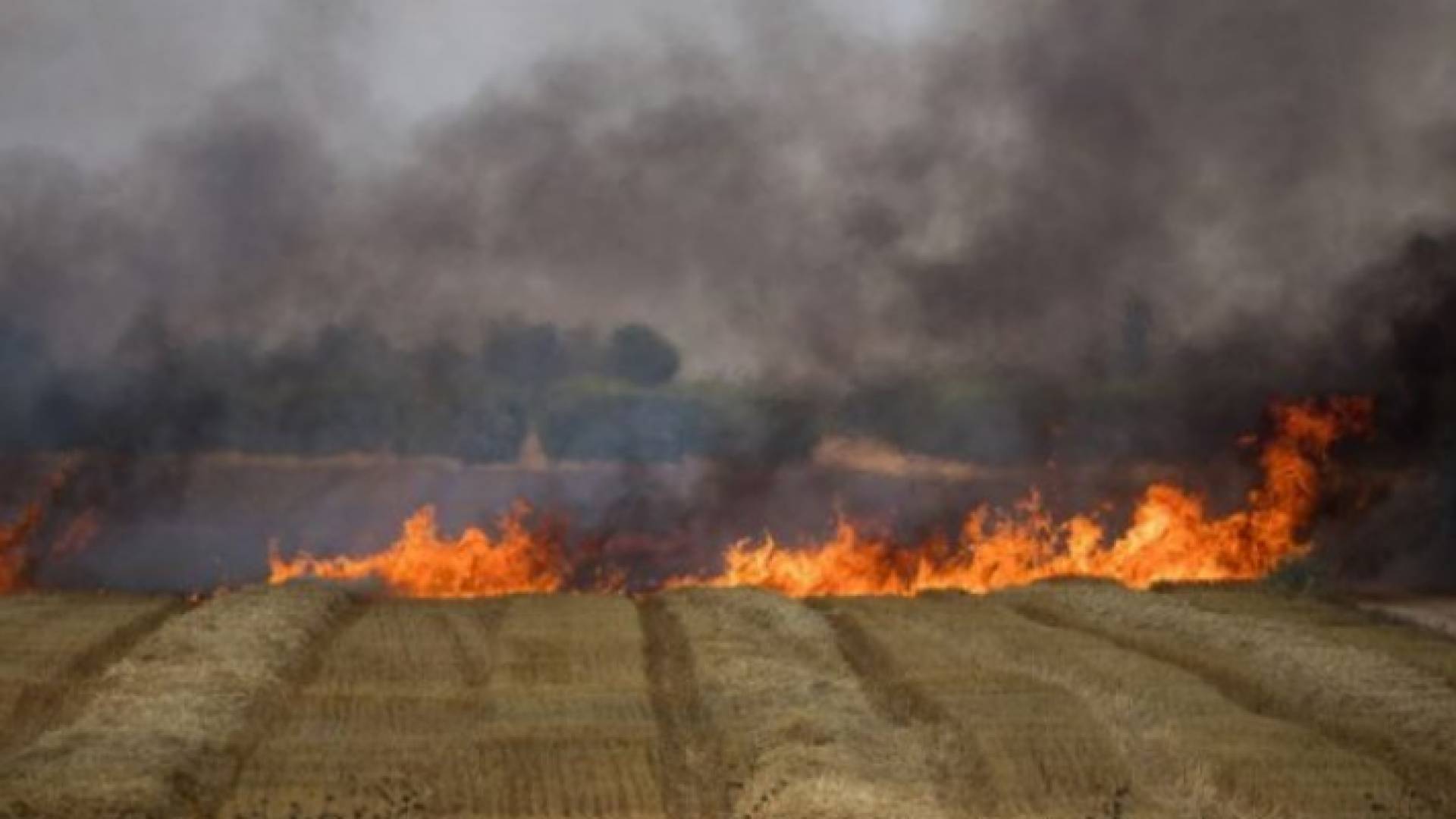 معظم الحرائق مفتعلة