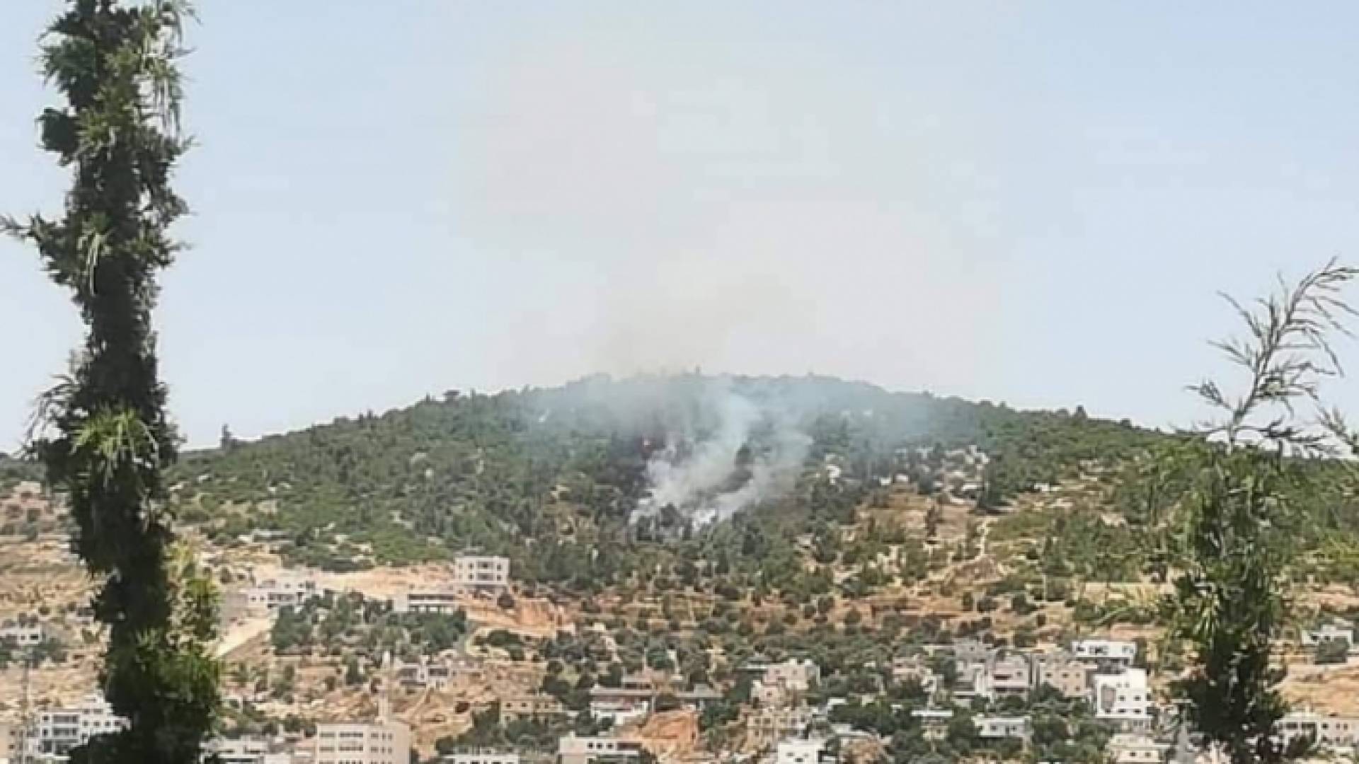 معظم الحرائق مفتعلة