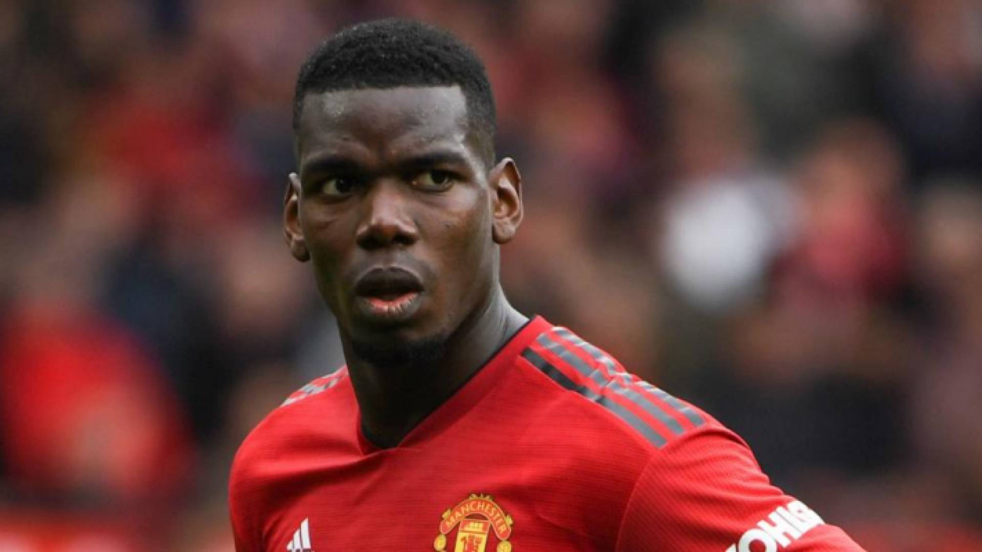 بول بوغبا لاعب مانشستر يونايتد الإنجليزي