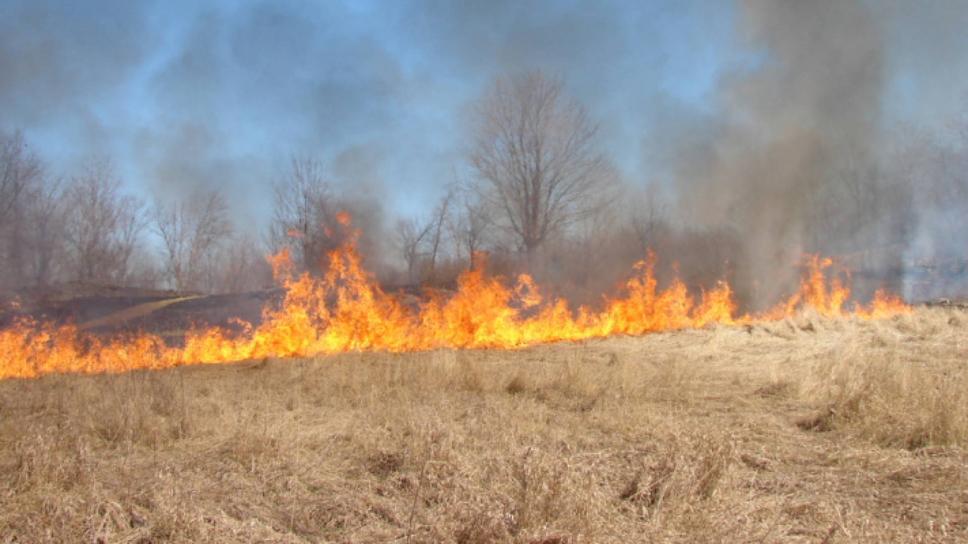 معظم الحرائق مفتعلة