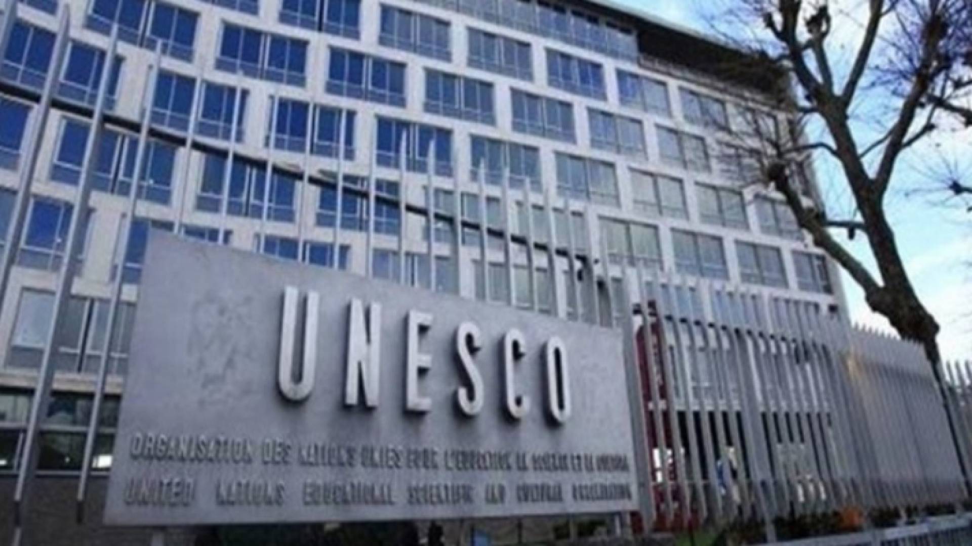 اليونسكو