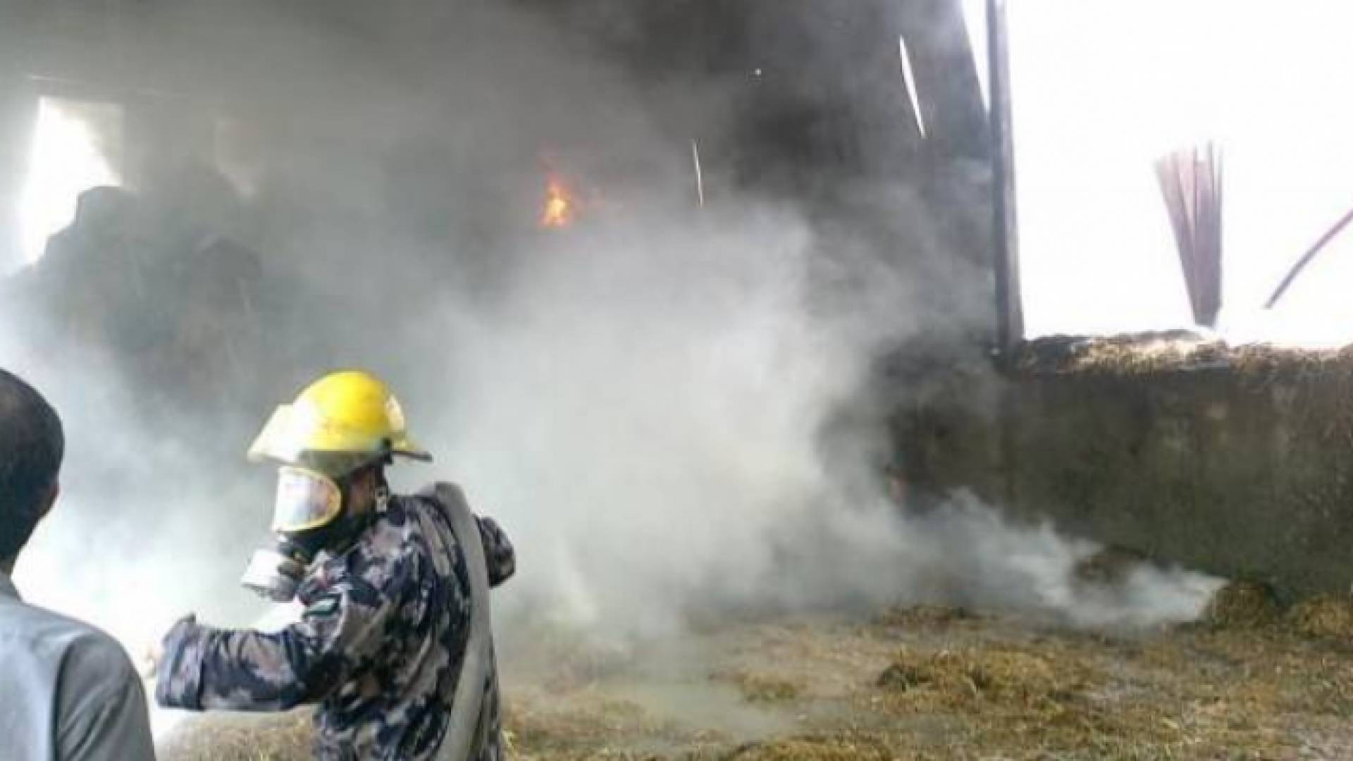 الصورة ارشيفية