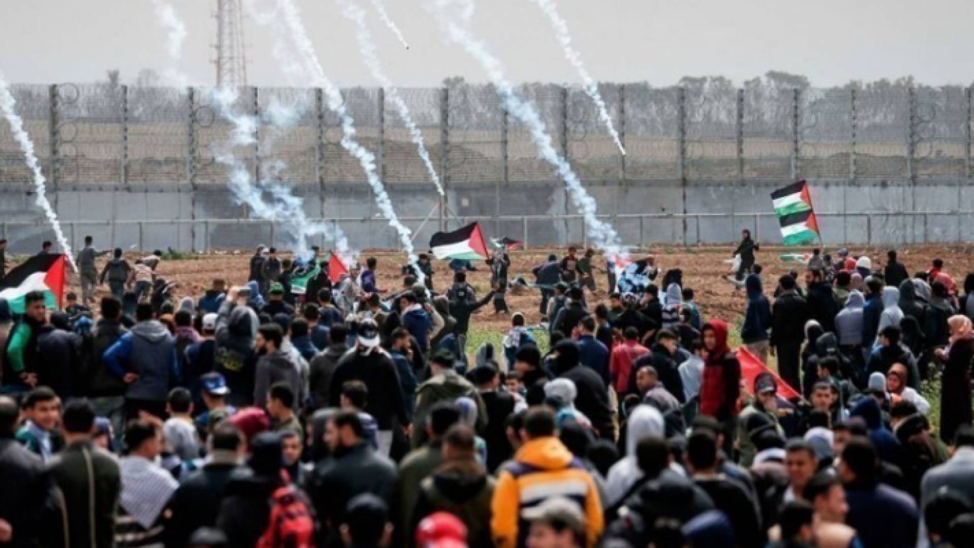 الصورة من مسيرات العودة