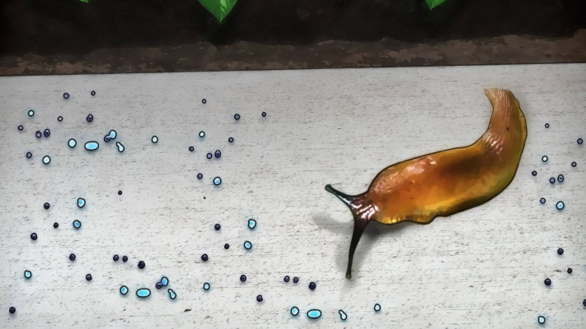 الحلزون أدى إلى تأخير أكثر من 12 ألف مسافر عن الالتحاق بأماكن عملهم