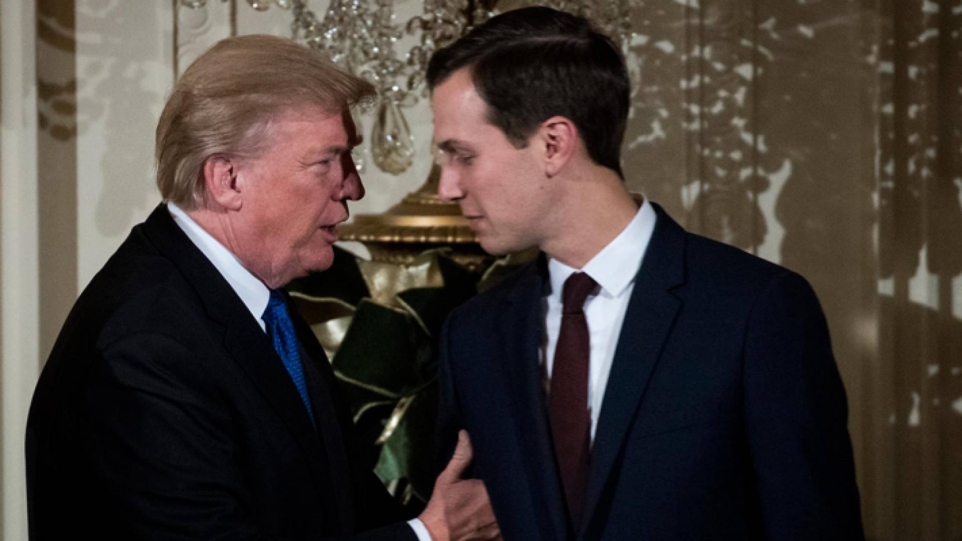 ترمب وكوشنير