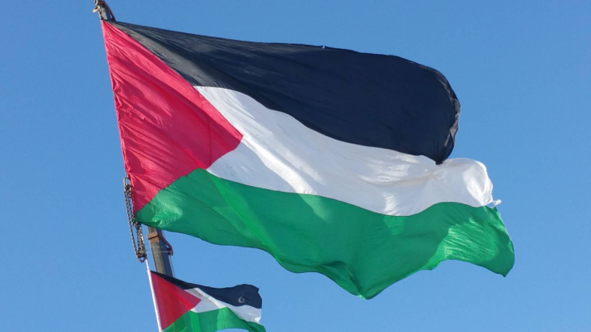 علم دولة فلسطين