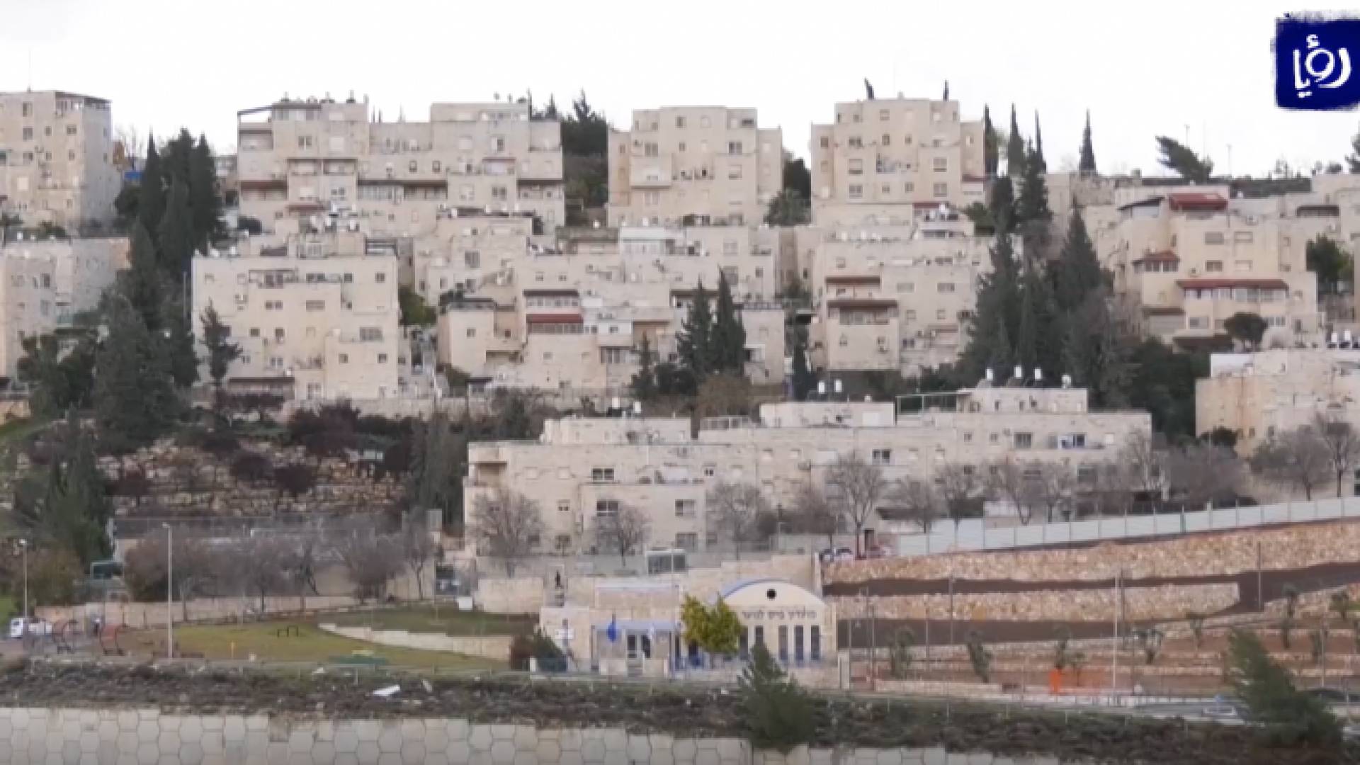 صورة من الفيديو