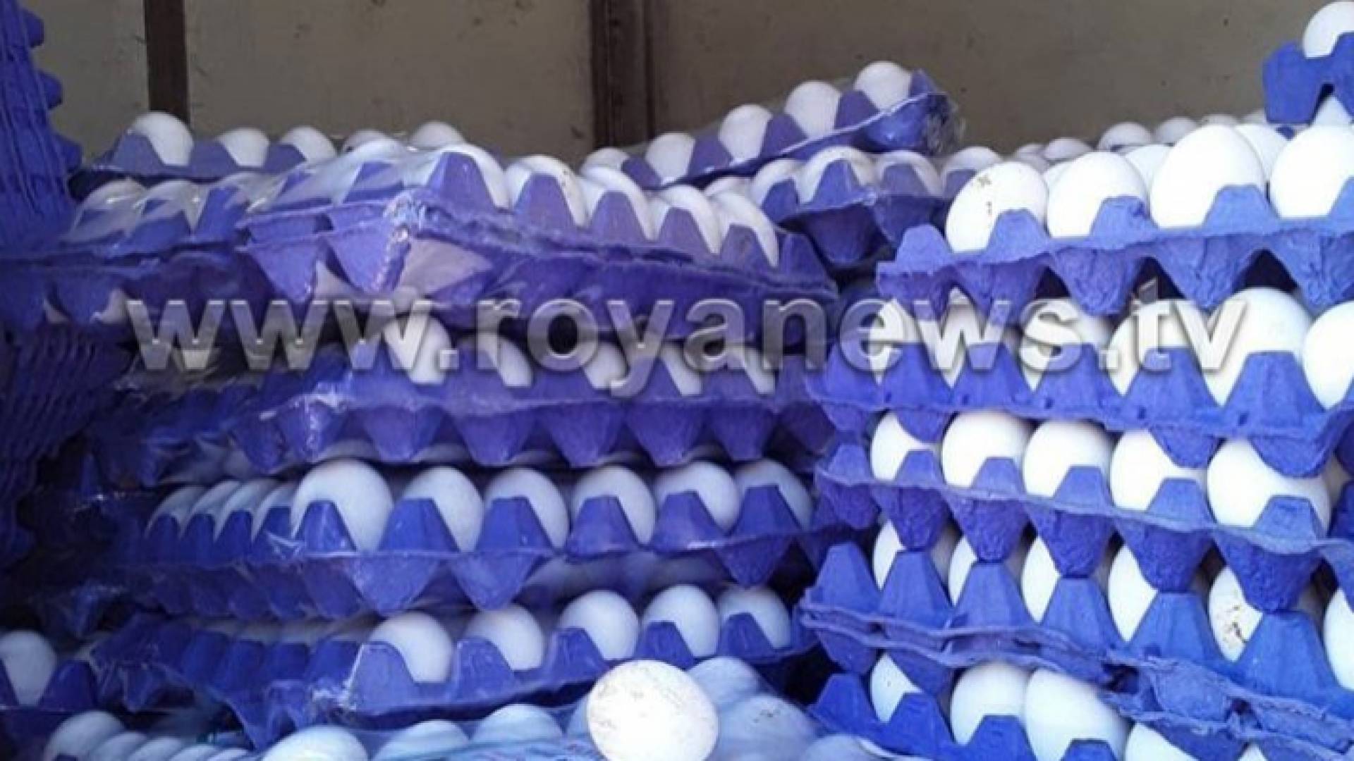 بيض - ارشيفية