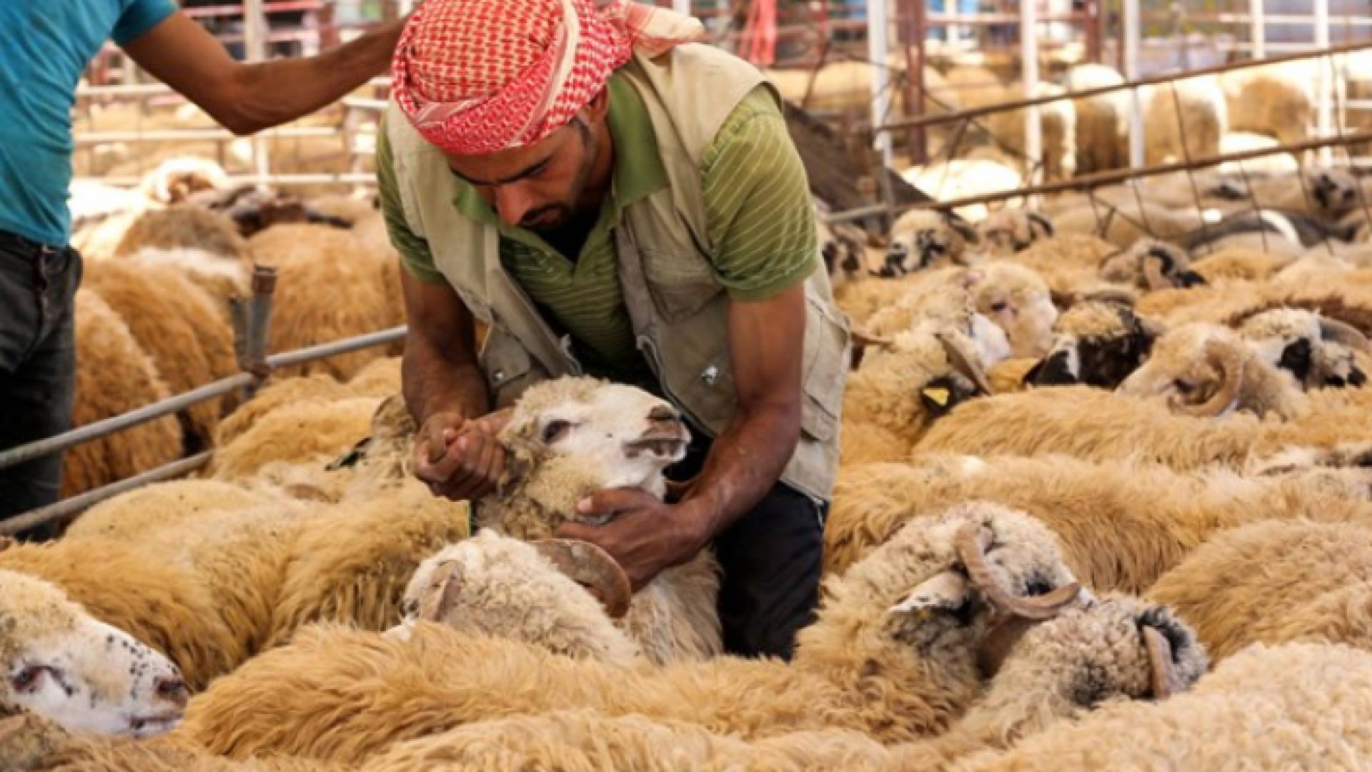 الصورة أرشيفية