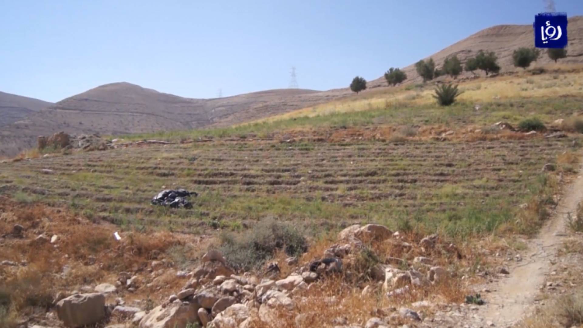 من الفيديو