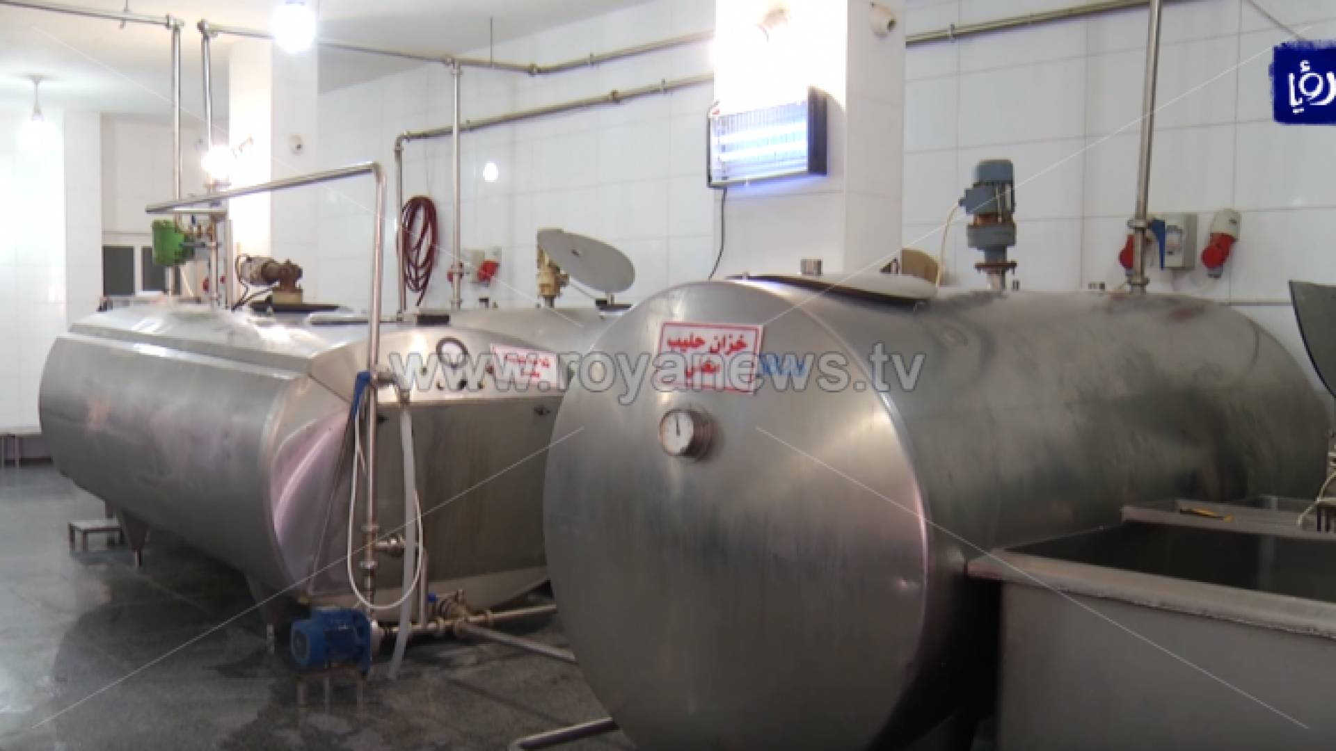 الصورة من احد مصانع الألبان