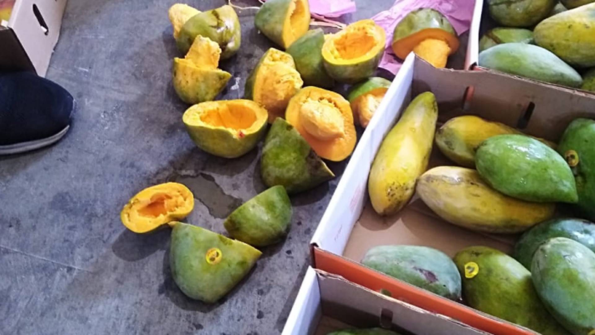 من الكمية المضبوطة