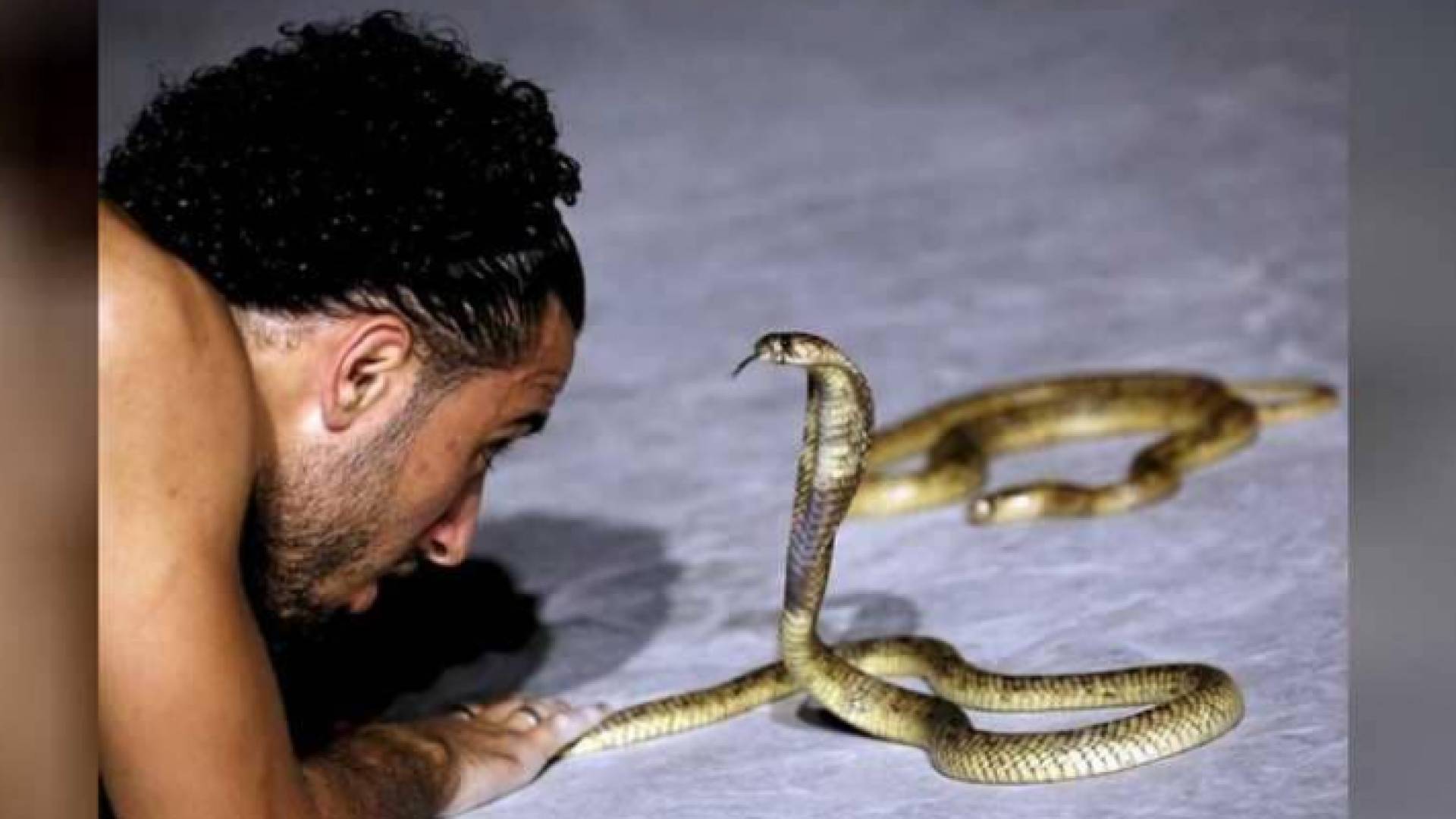 مروض للثعابين في مصر - ارشيفية