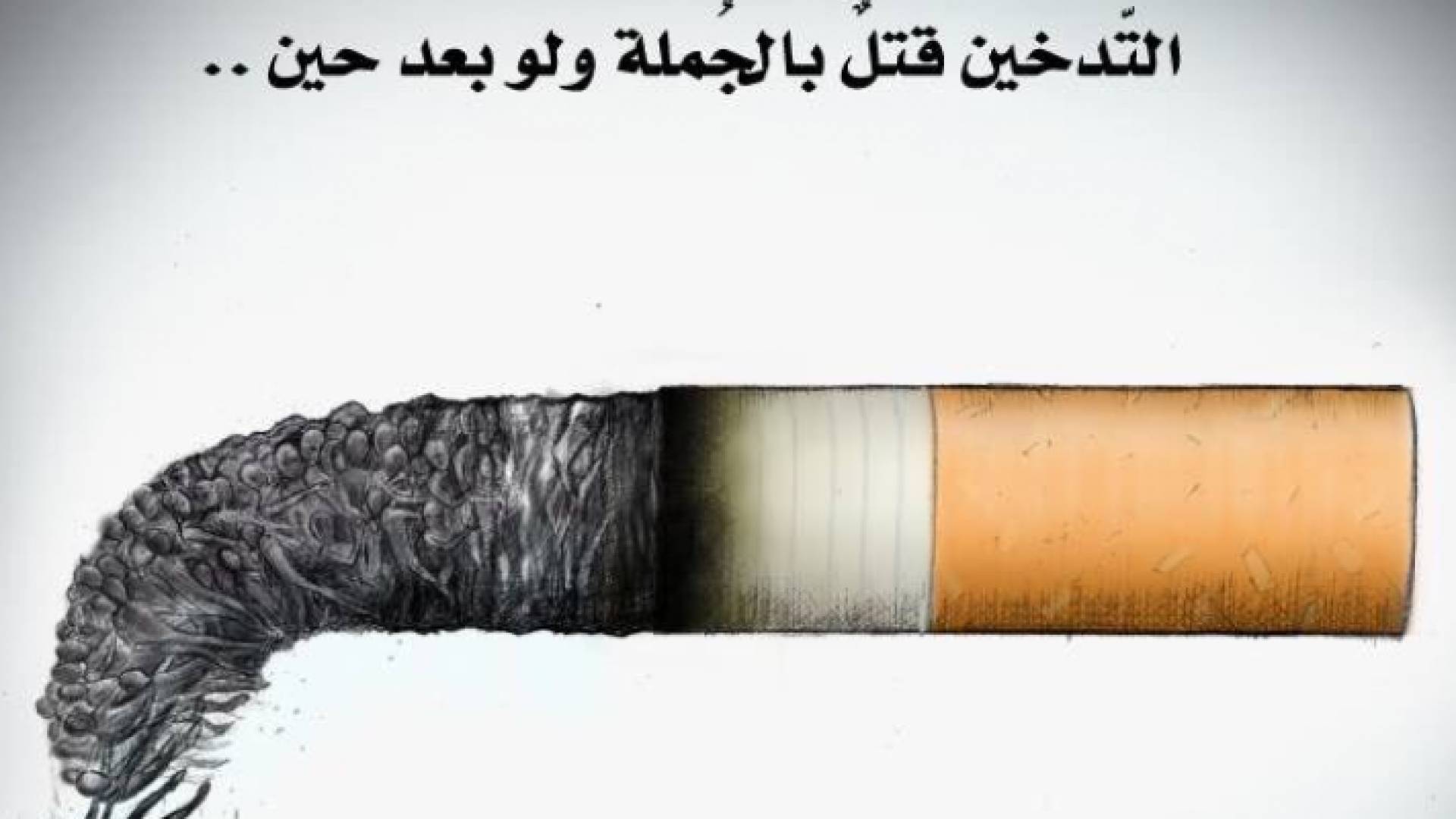 كاريكاتير للفنان لطيف فتياني