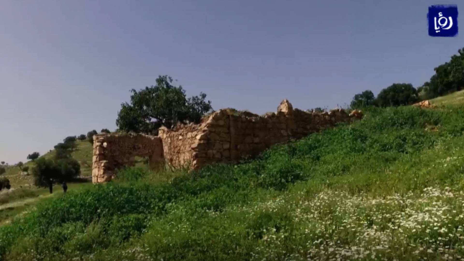 صورة من الفيديو