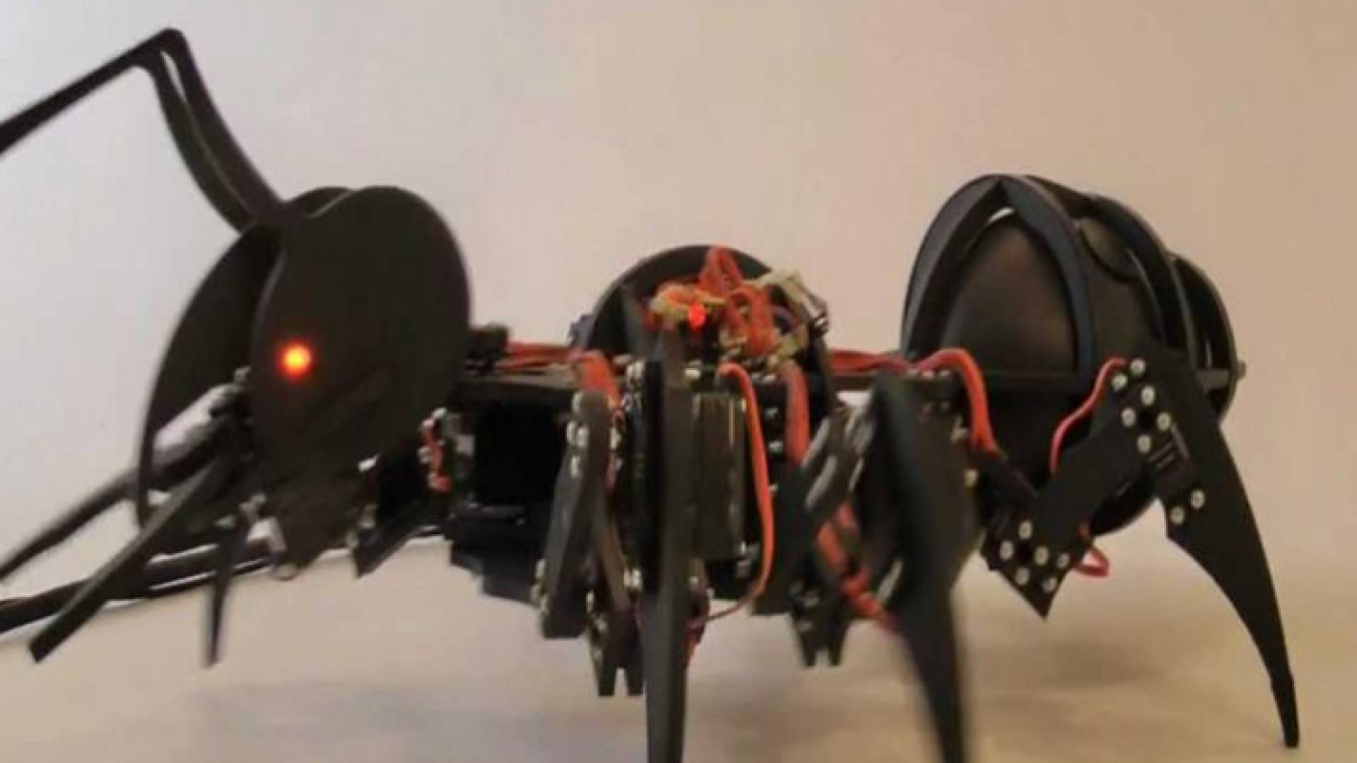 حركات الروبوتات صممت على غرار حركات نمل (فخ الفك)