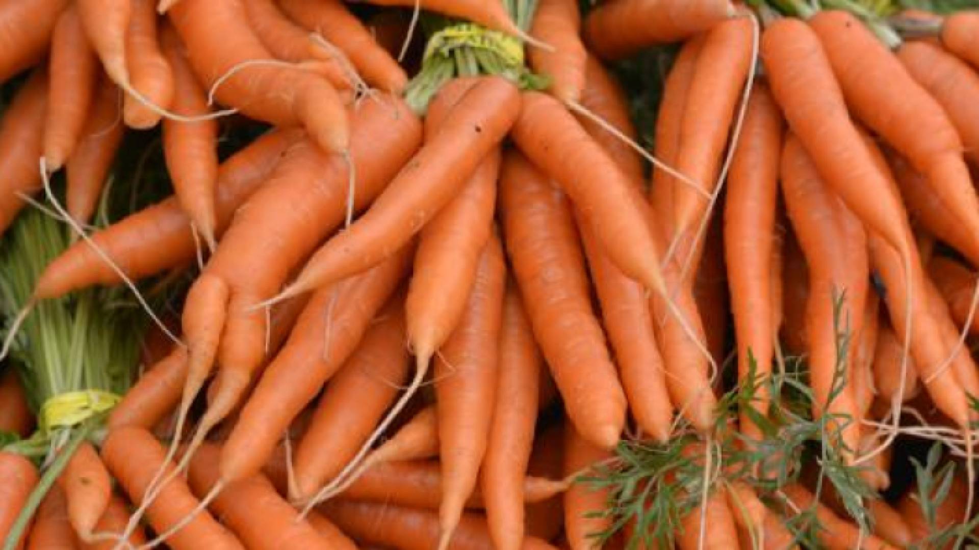 الصورة أرشيفية