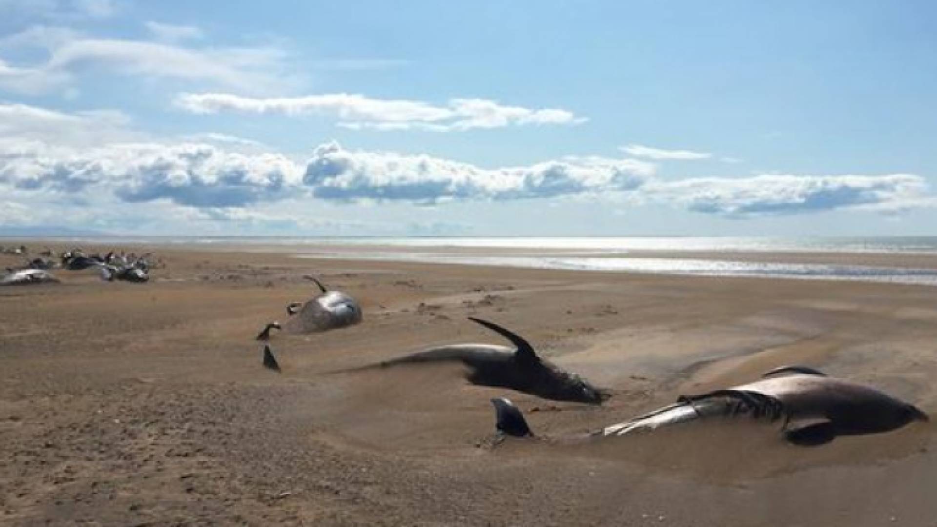 ظاهرة غريبة لم يفسرها العلم حتى الآن